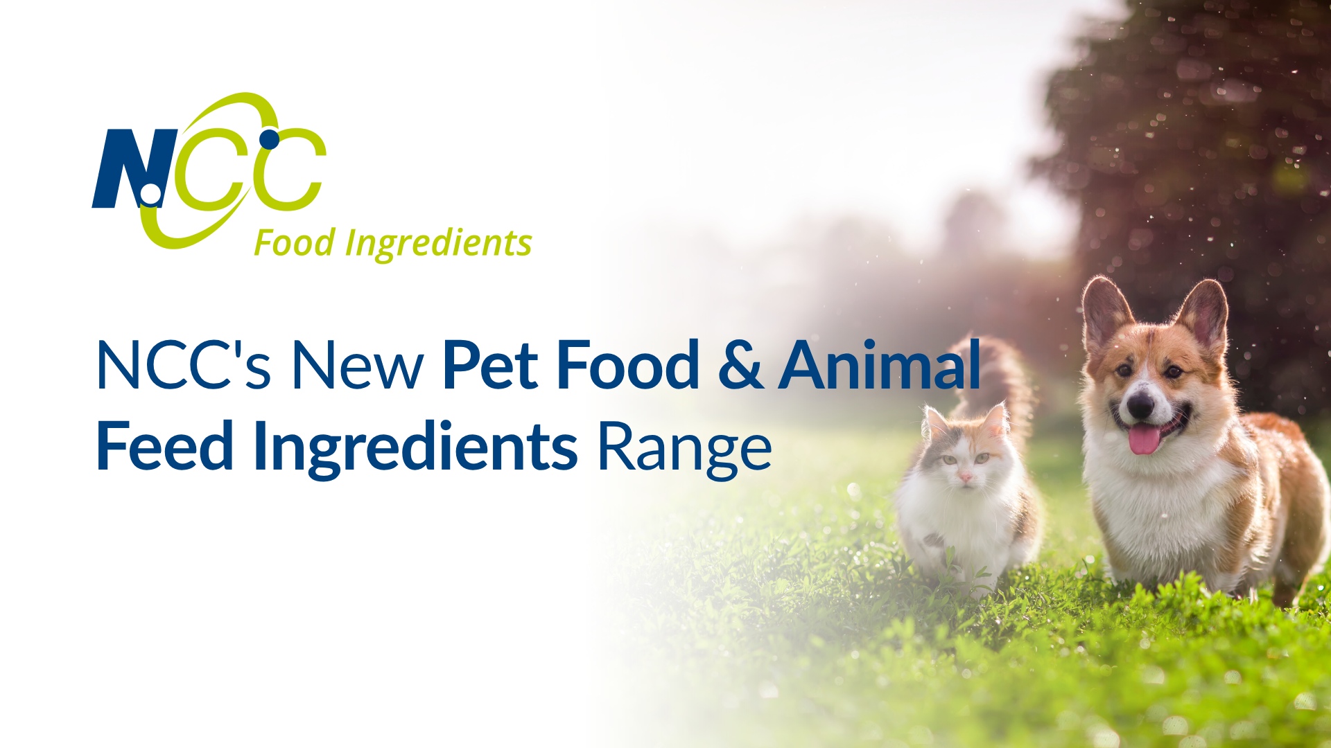 NCC's New Pet Food & Animal Feed Ingredients Range