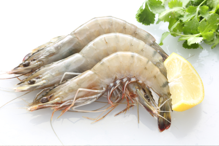 Fish-Meat-Poultry-NCC-Ingredients