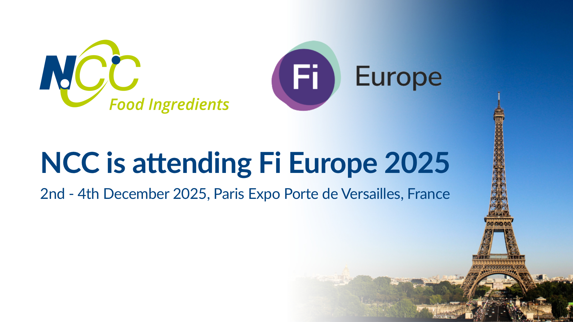 Fi Europe 2025